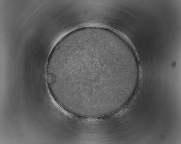 X0000116850847201001051504