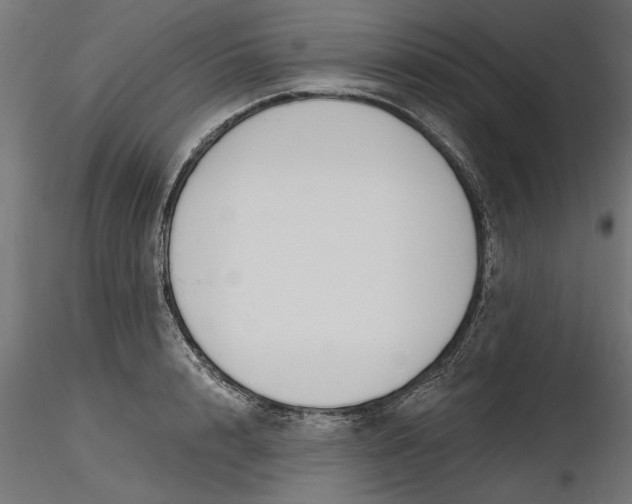 X0000116850848201001051504