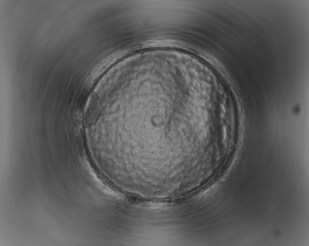 X0000116850849201001051504