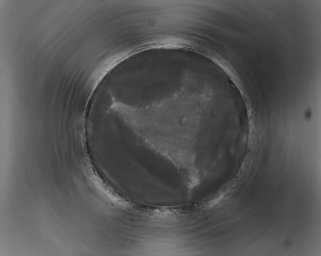 X0000116850850201001051504