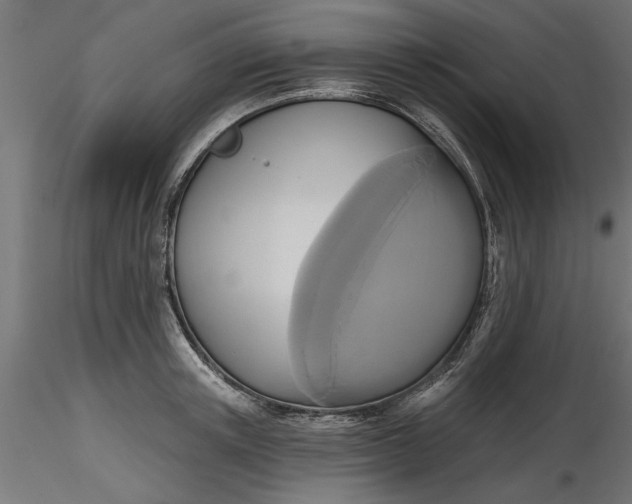 X0000116850851201001051504