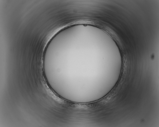 X0000116850852201001051504