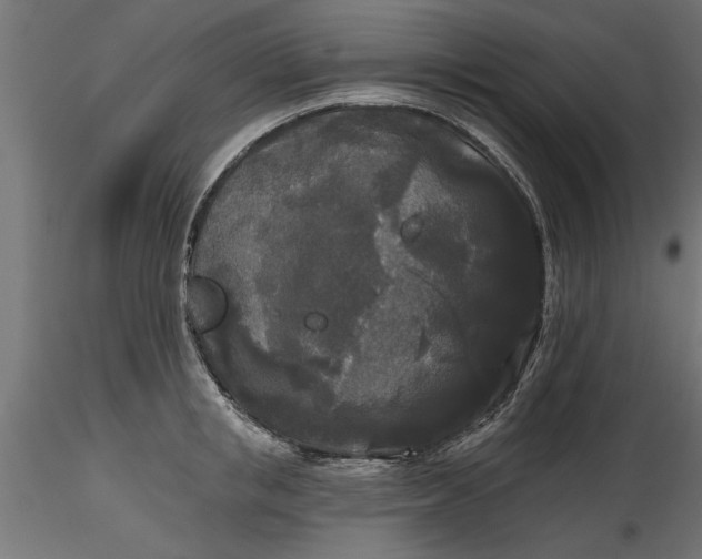 X0000116850853201001051504