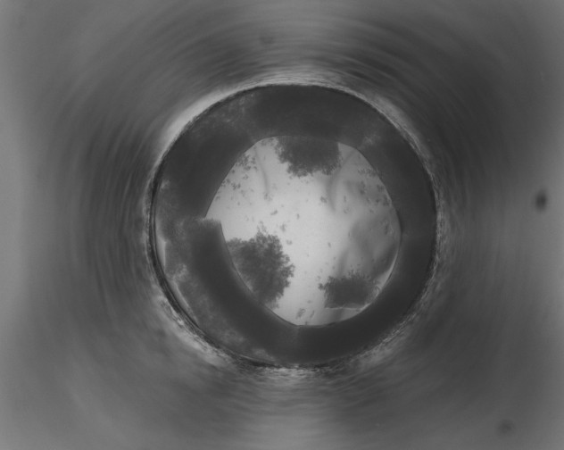 X0000116850854201001051504