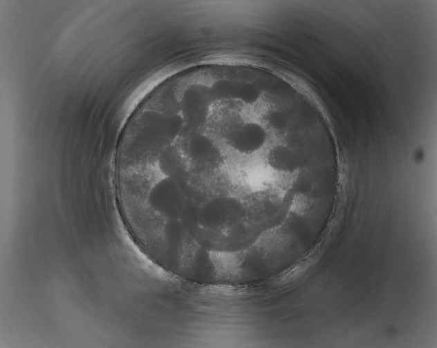 X0000116850855201001051504