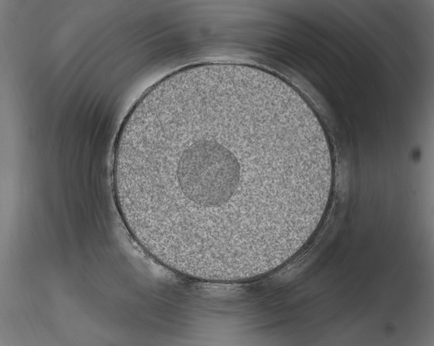 X0000116850856201001051504