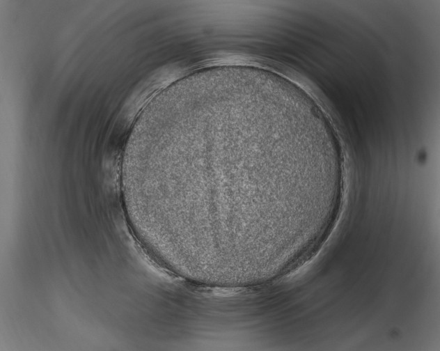 X0000116850857201001051505