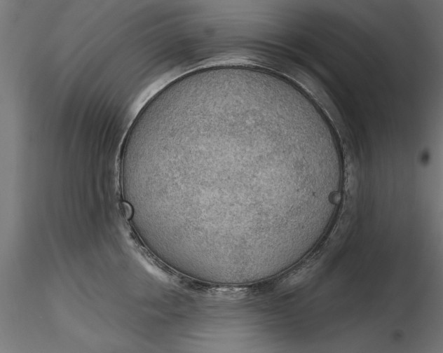 X0000116850858201001051505