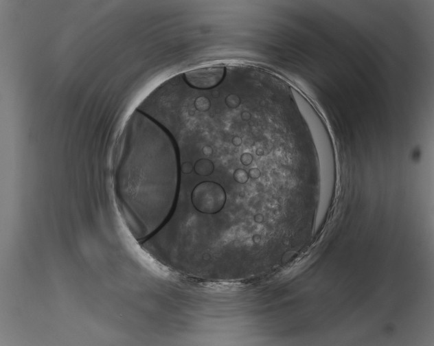 X0000116850859201001051505