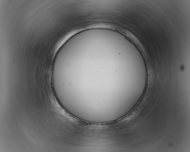 X0000116850860201001051505