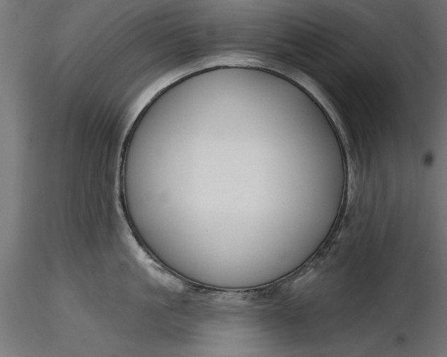 X0000116850861201001051505