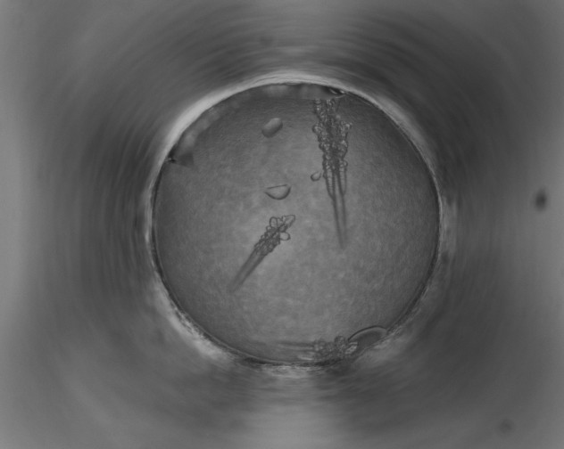 X0000116850862201001051505