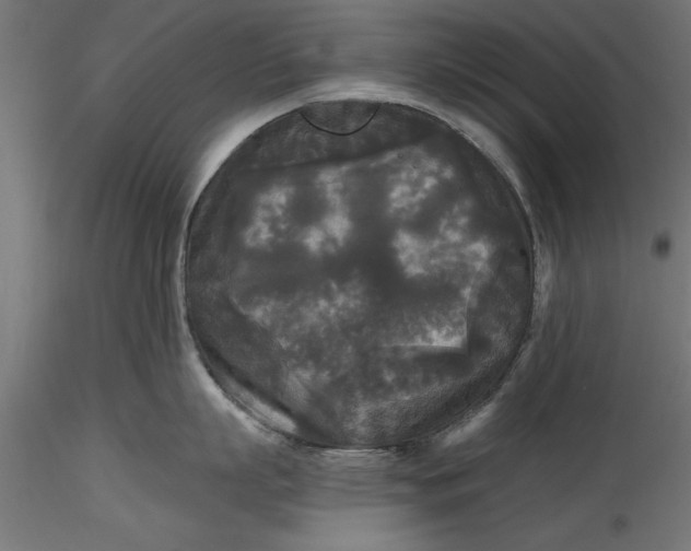 X0000116850863201001051505