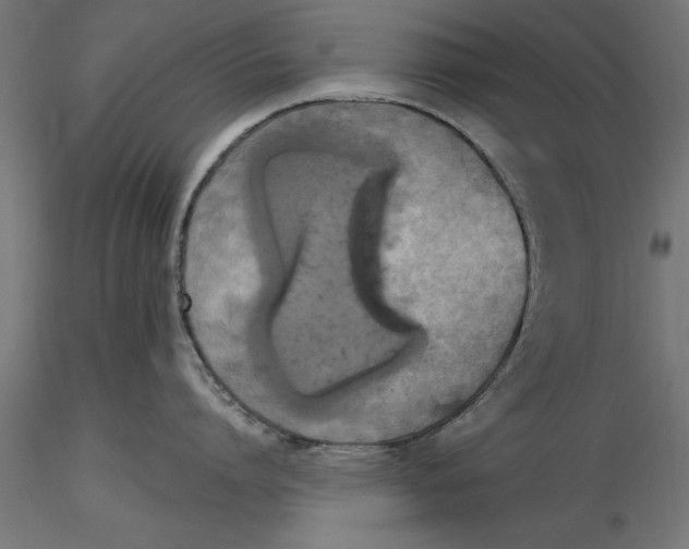 X0000116850864201001051505