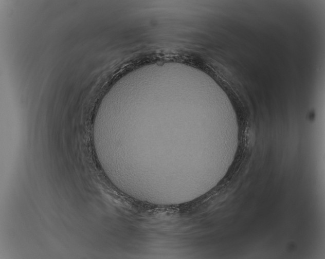 X0000116850865201001051504