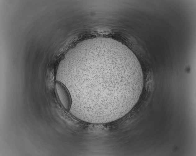 X0000116850866201001051504