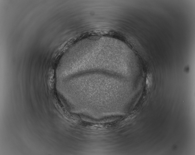 X0000116850867201001051504