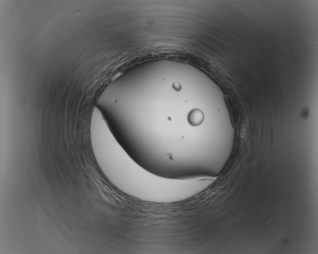 X0000116850868201001051504