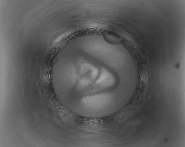 X0000116850869201001051504