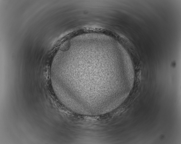 X0000116850870201001051504