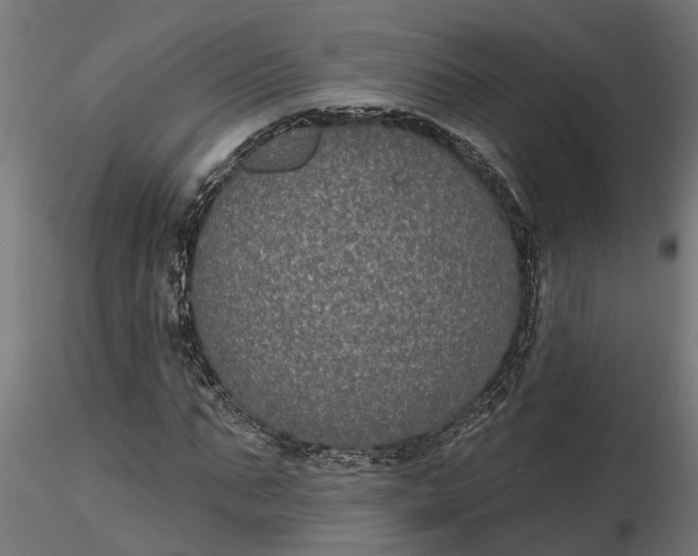 X0000116850871201001051504