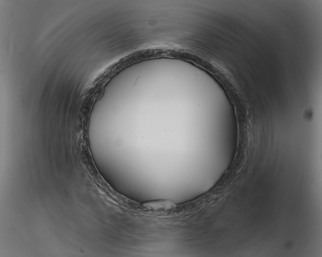 X0000116850872201001051504