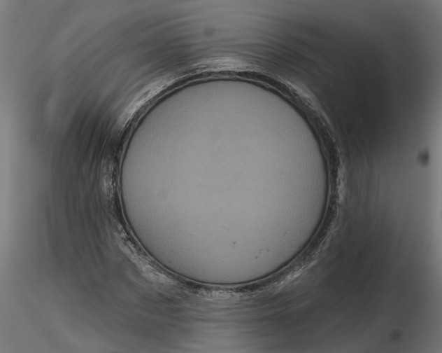 X0000116850873201001051504