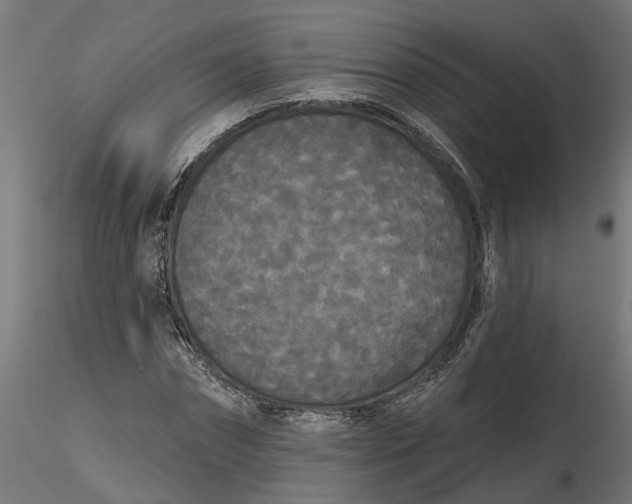 X0000116850874201001051504