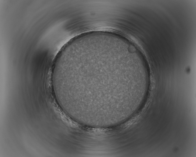 X0000116850875201001051504