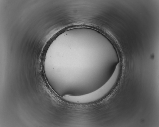 X0000116850876201001051504