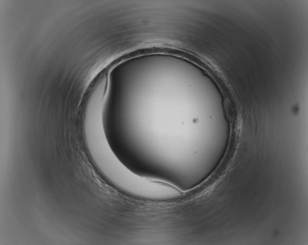 X0000116850877201001051504