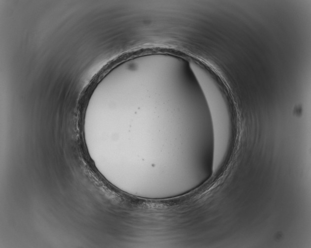 X0000116850878201001051504