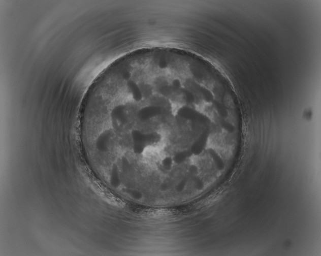 X0000116850879201001051504