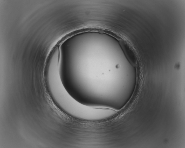 X0000116850880201001051504