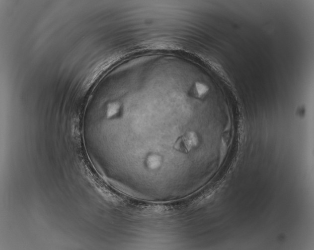 X0000116850881201001051504