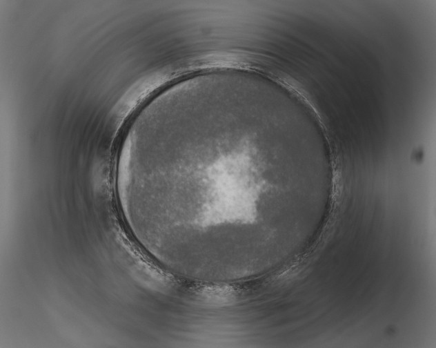 X0000116850882201001051504