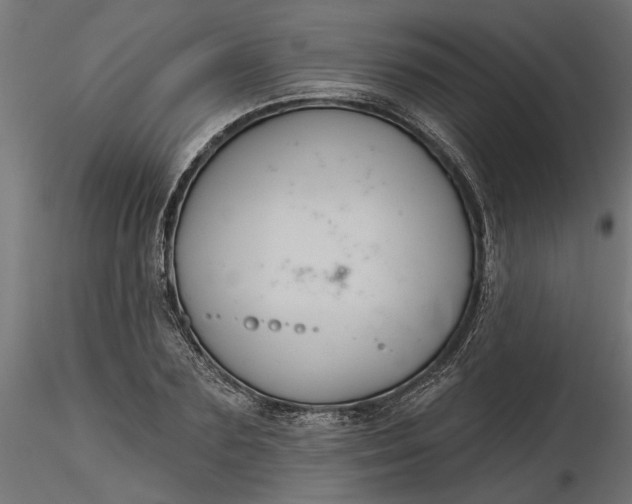 X0000116850883201001051504