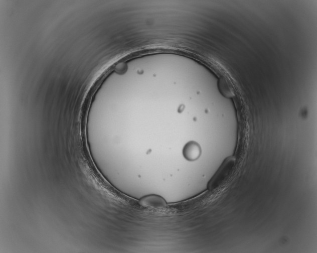 X0000116850884201001051504