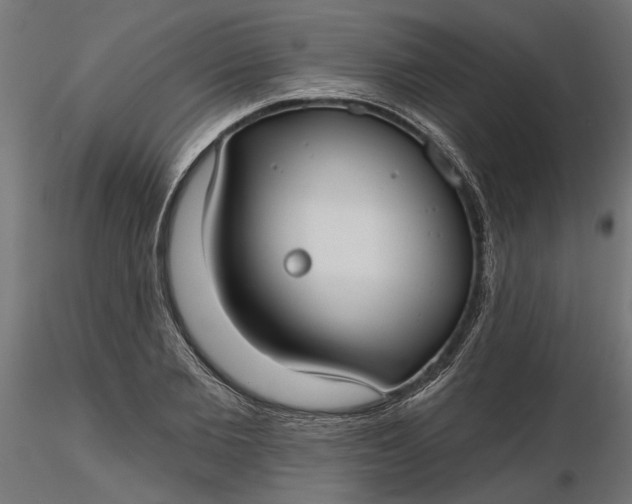 X0000116850885201001051504