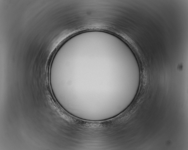 X0000116850886201001051504