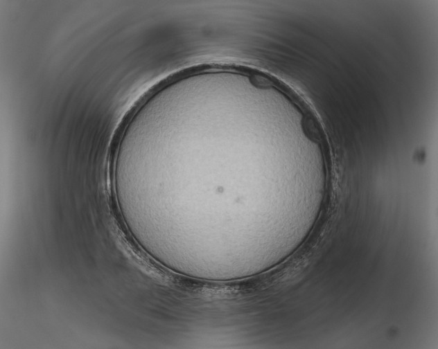 X0000116850887201001051504