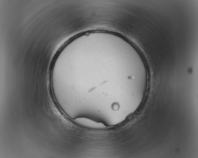 X0000116850888201001051504