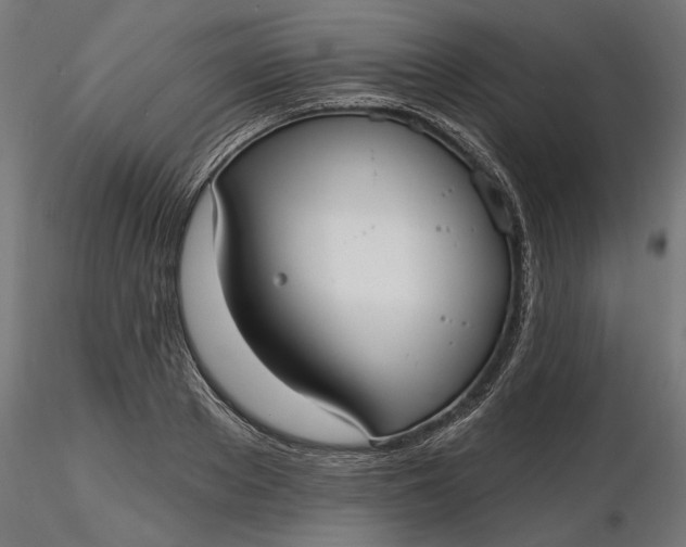 X0000116850889201001051504