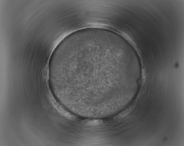 X0000116850891201001051504