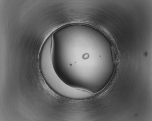 X0000116850892201001051504