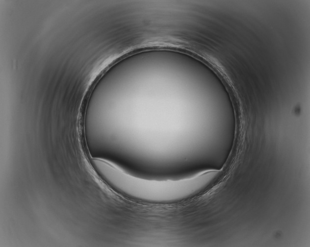 X0000116850893201001051504