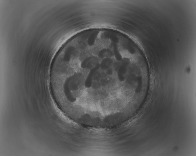 X0000116850895201001051504