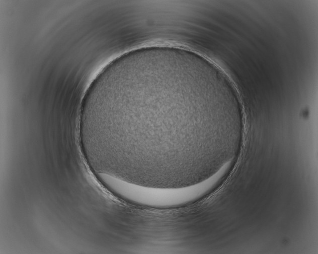 X0000116850896201001051504