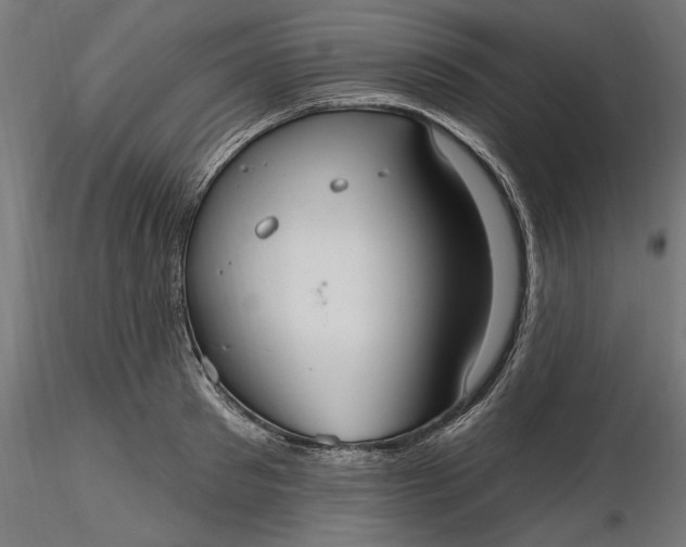 X0000116850897201001051504