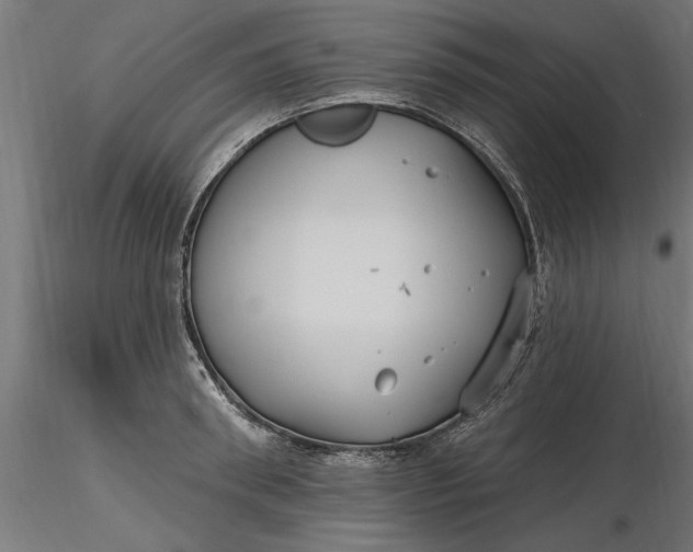 X0000116850898201001051504